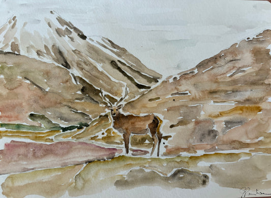 Atelier-Tigresse-Aquarelle-Cerf-Ecosse