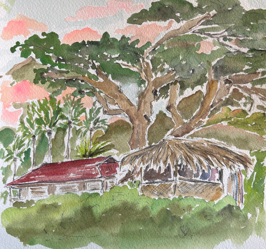 Aquarelle "coucher de soleil à Maui"